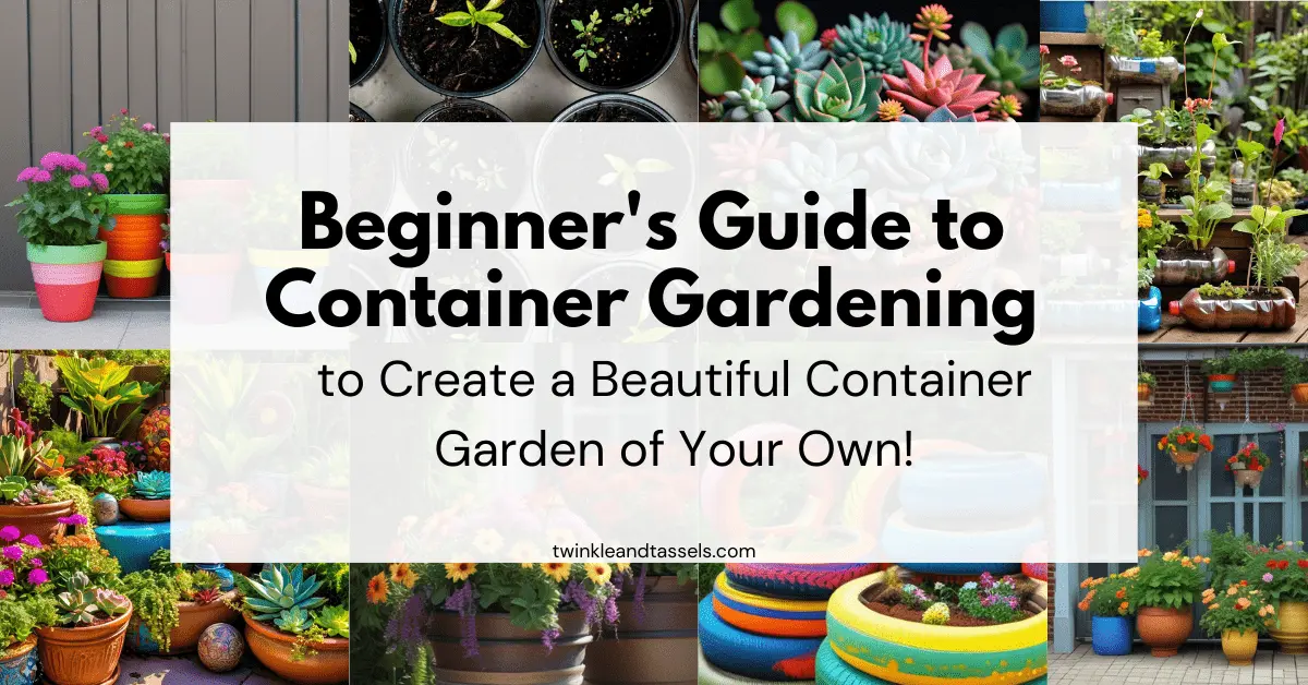 container garden