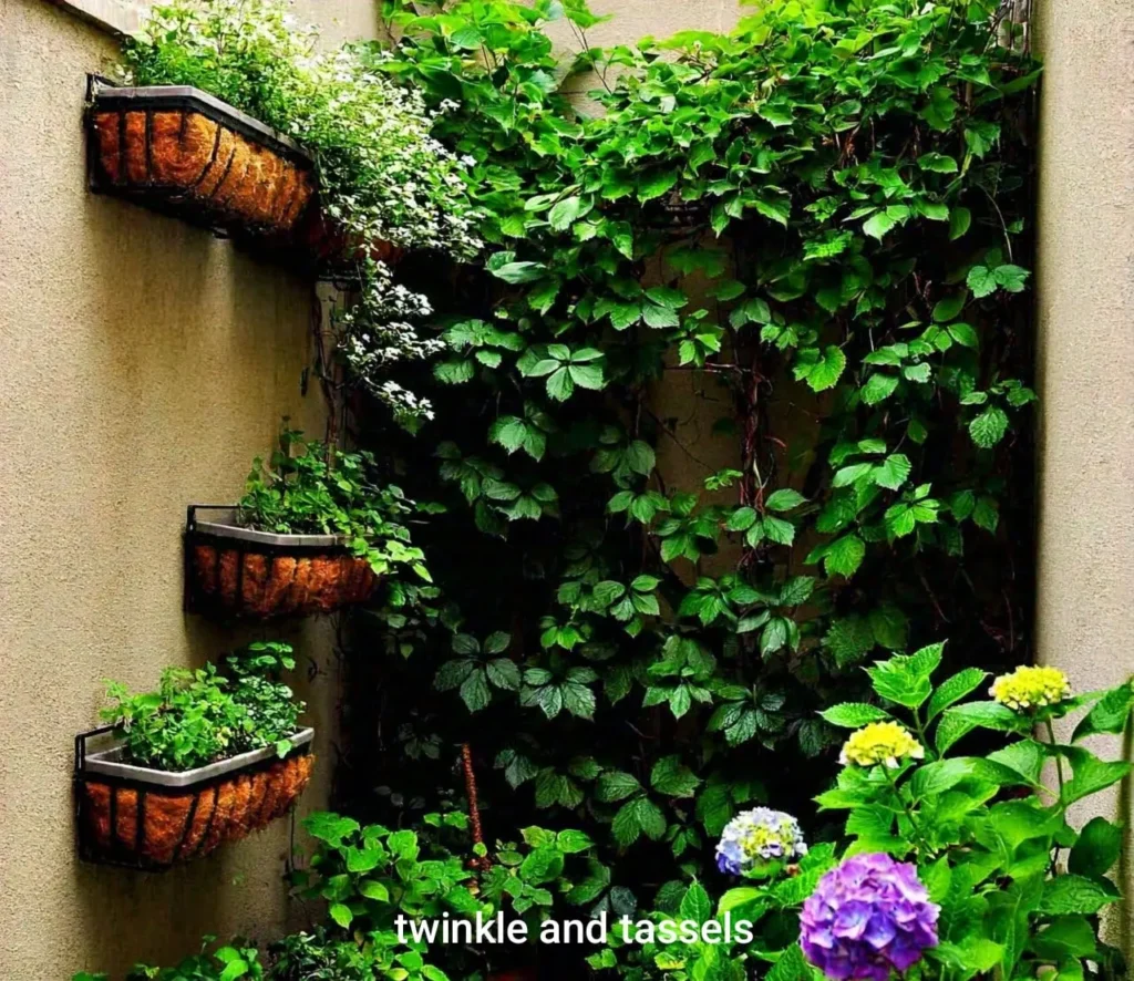 vertical garden in balcony